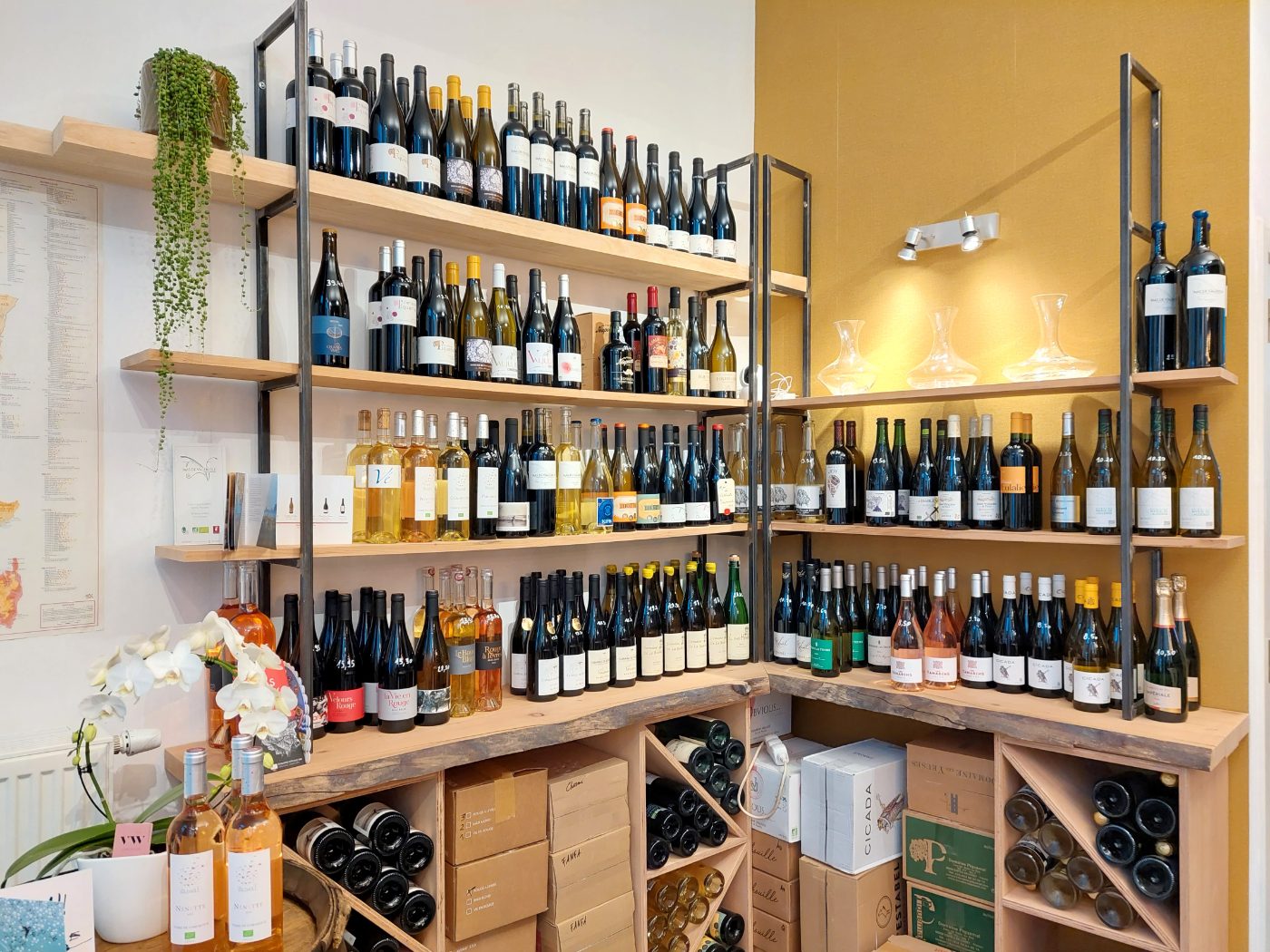 Carafes & sélection